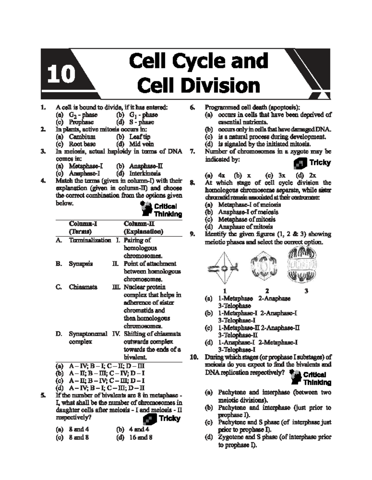 Cell Cycle and Cell Division Study Guide (JTseo 3nrj) - Studocu