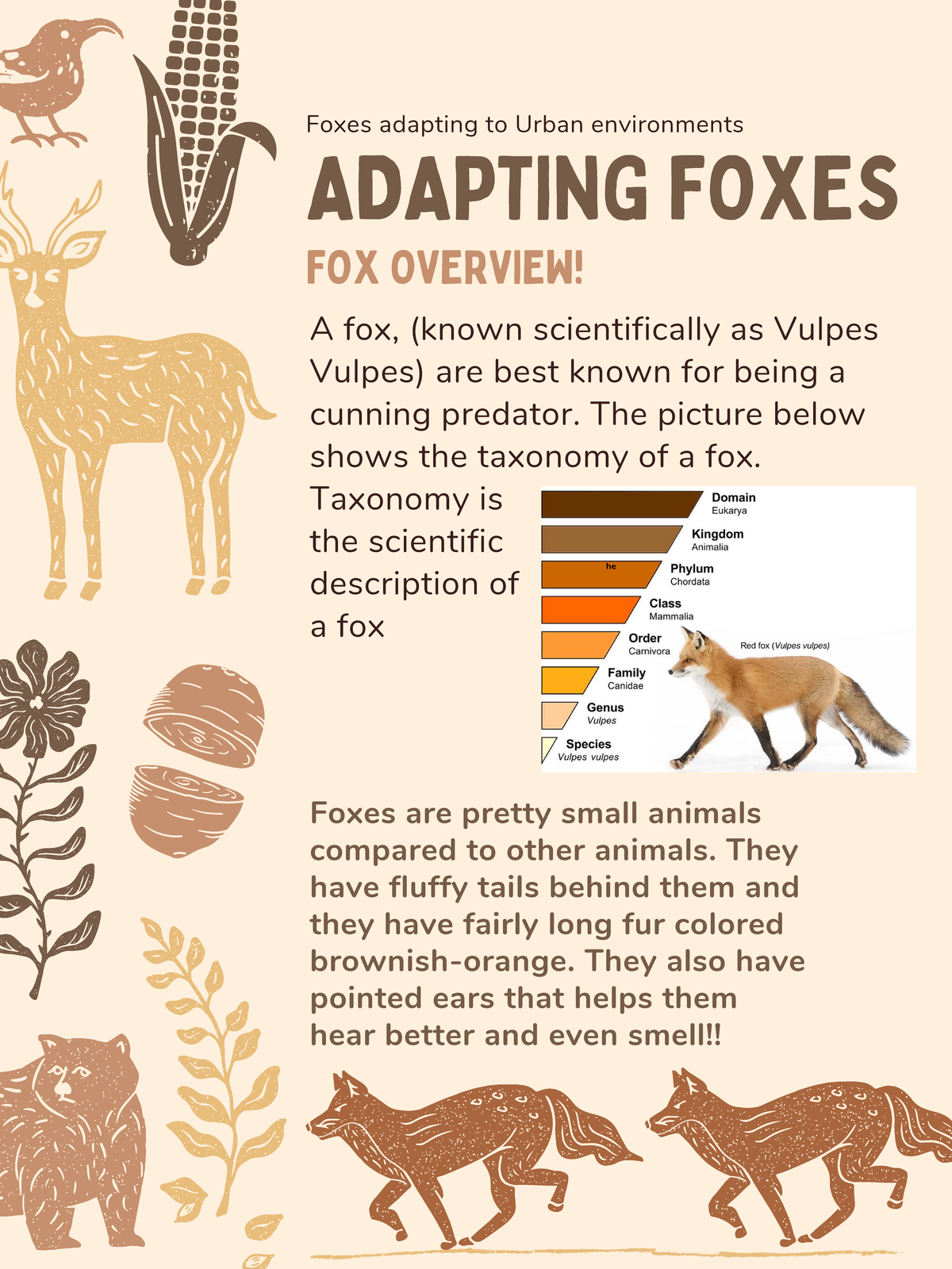 Urban Adaptations of Foxes: Survival Strategies in Human Environments ...