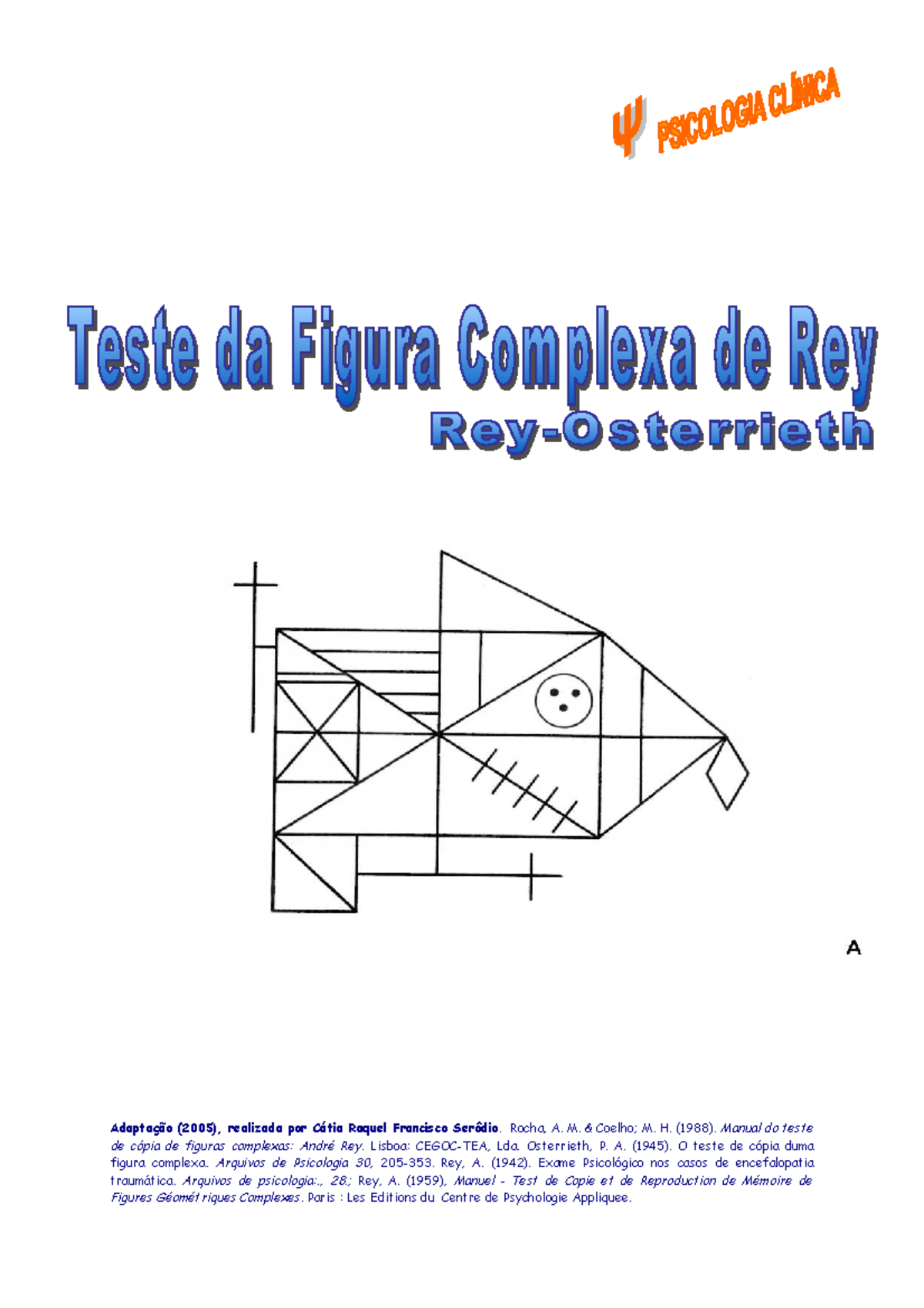 Figuras Complexas de Rey: Manual e Aplicação do Teste (Psicologia ...