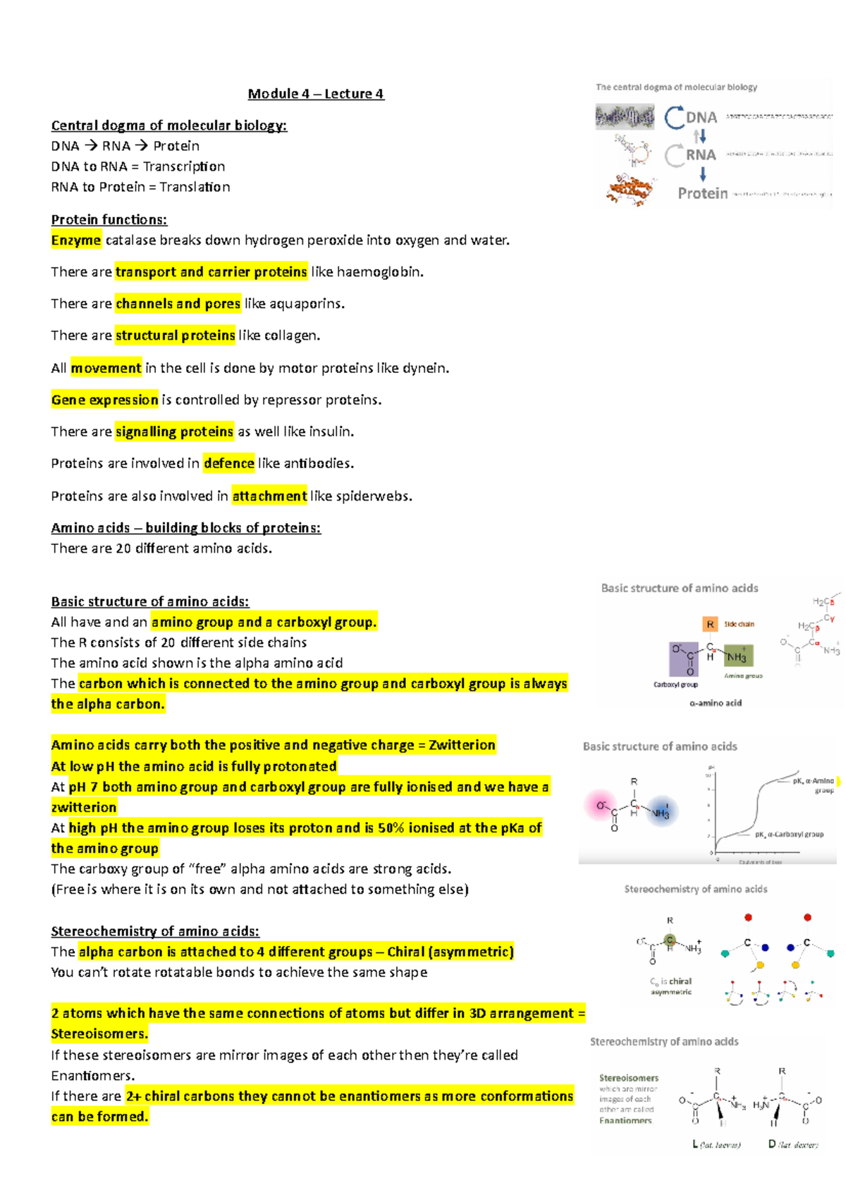 Module 4 – Lecture 4: Protein Functions & Amino Acid Overview - Studocu
