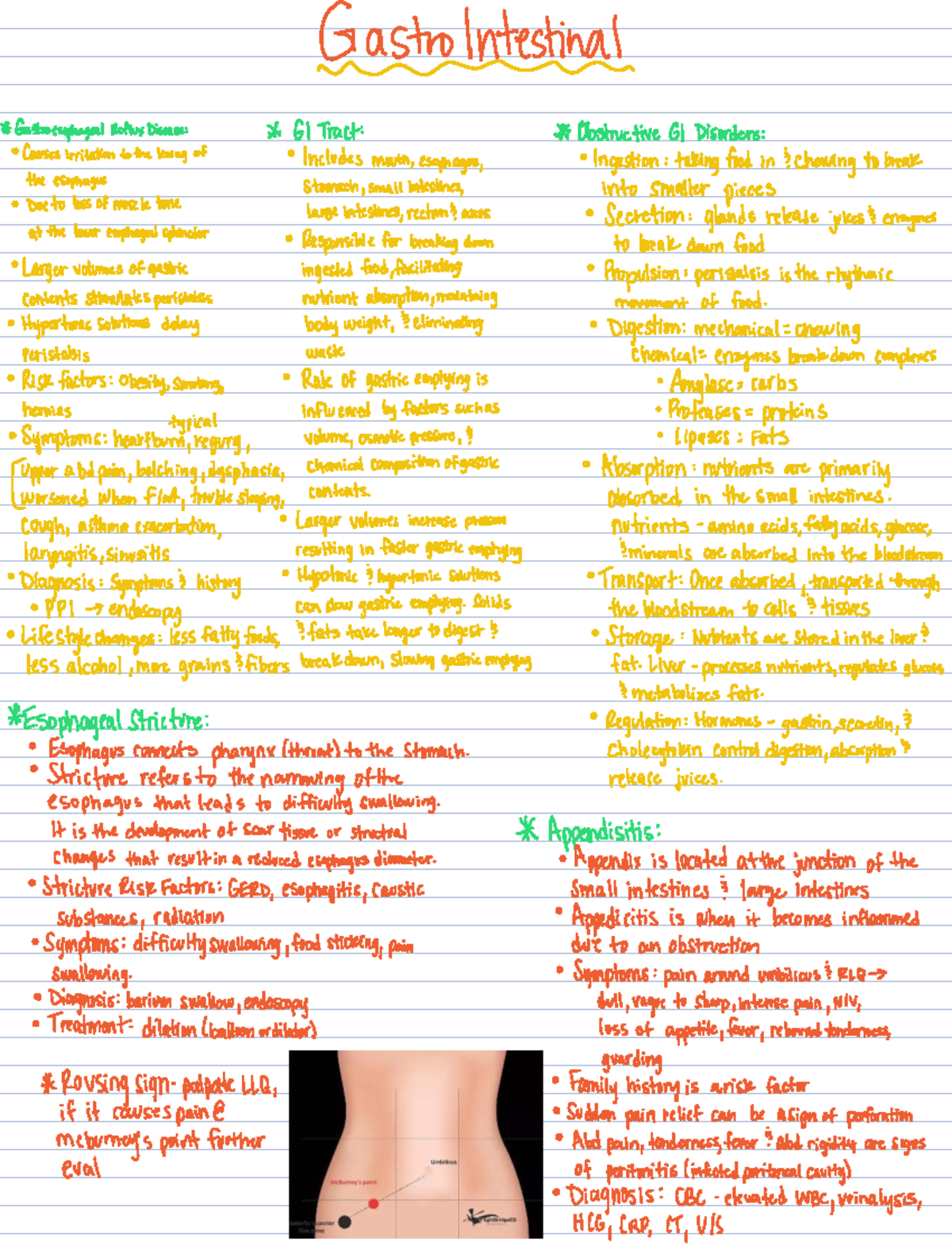 GIT 101: Comprehensive Notes on Gastrointestinal Disorders and ...