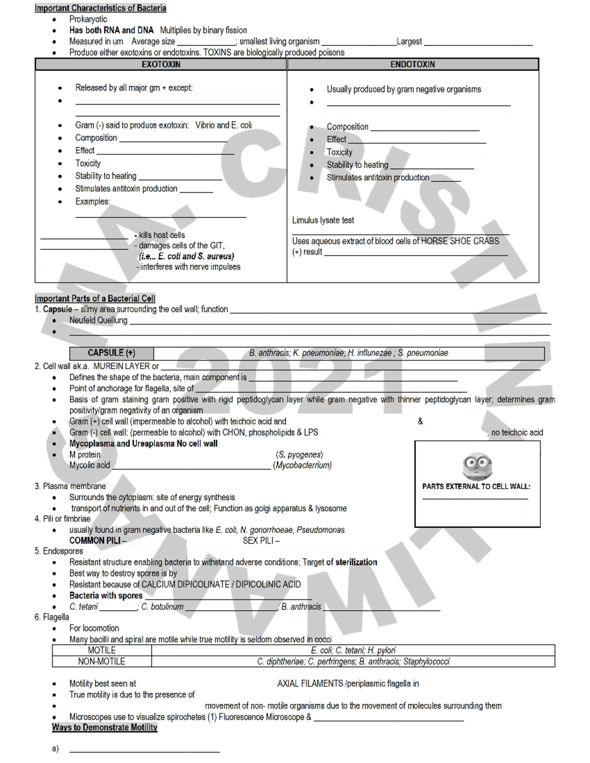 Bacteriology Study Review Notes - 2021 Edition - Studocu
