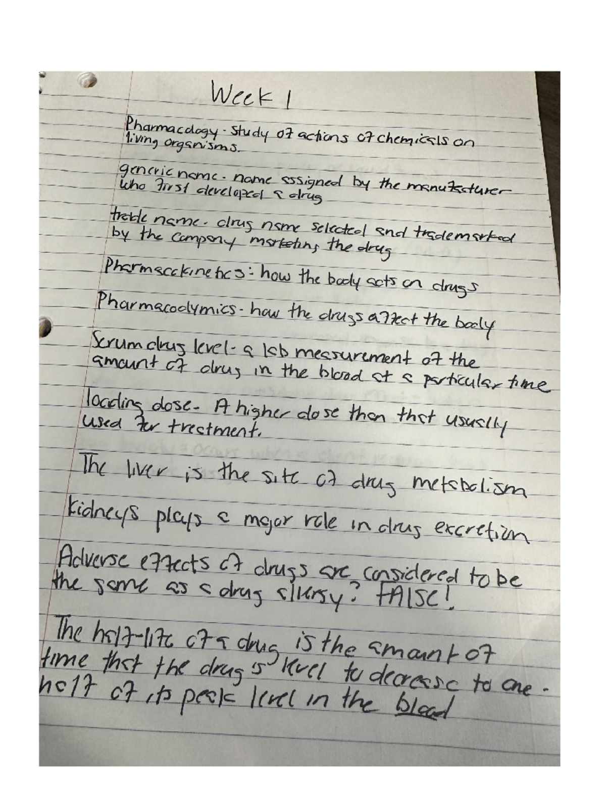 Title: Document Insights Report - Analysis and Findings - Studocu