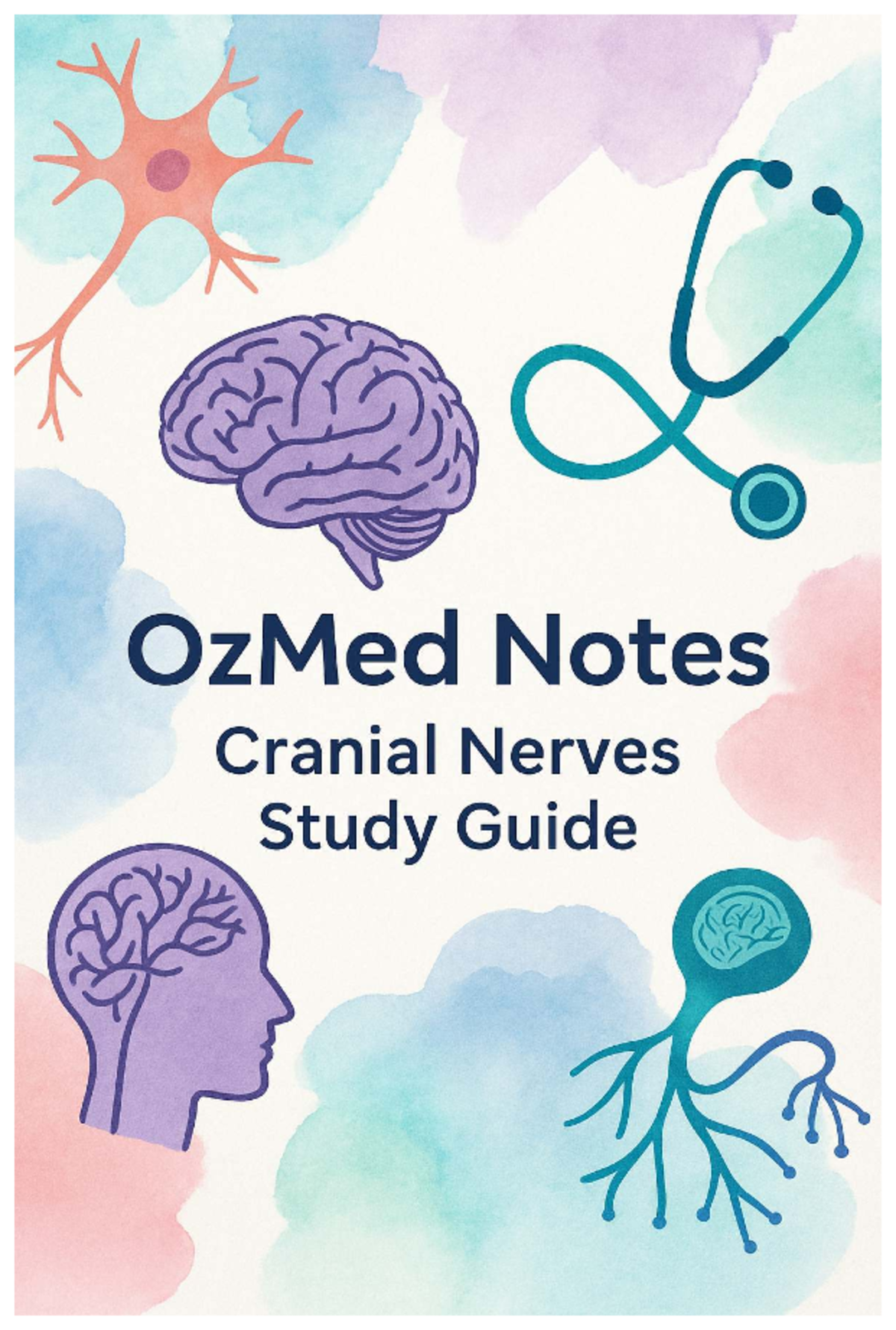 Oz Med Cranial Nerves Study Guide 2025: Mnemonics & Quiz - Studocu