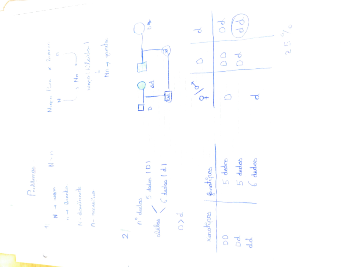 Bio ejercicio Matemáticas II Problemas r 1 N negra N n Nages Pine x Inarce n branta N n N