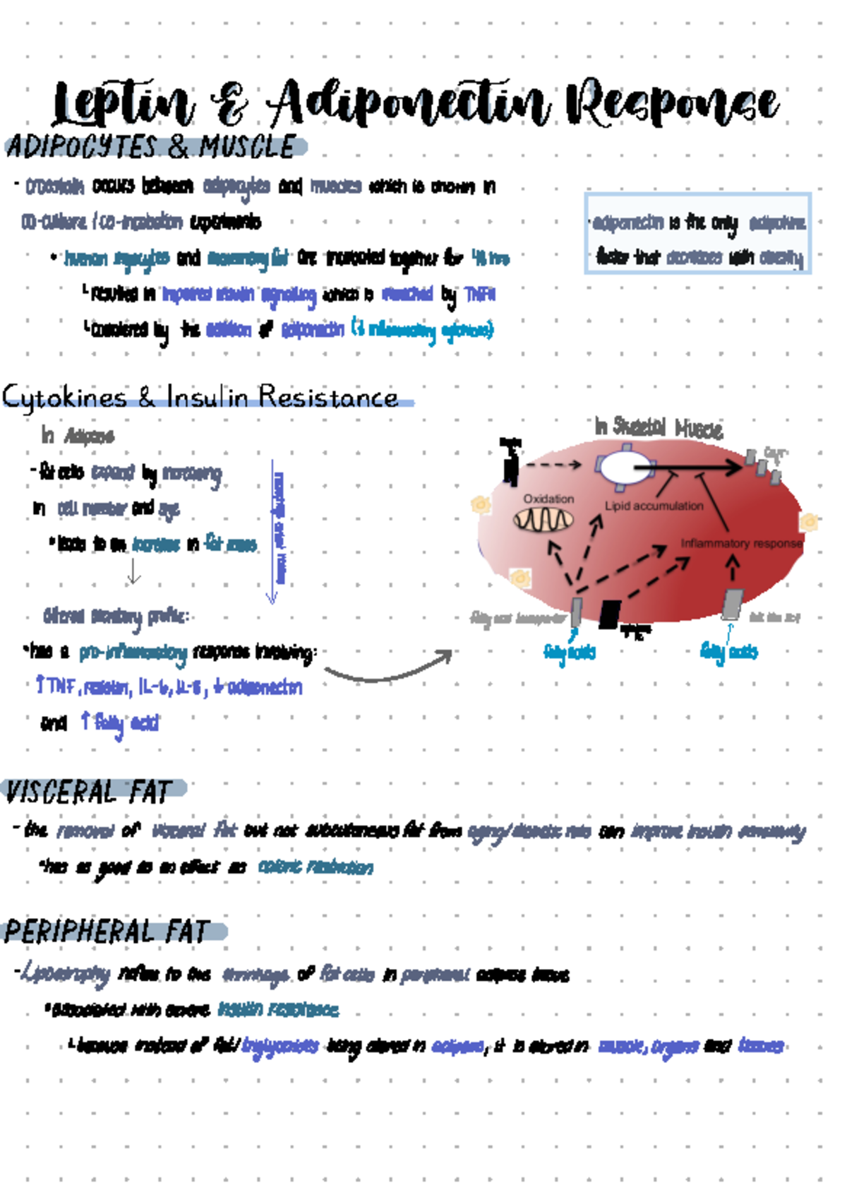 Leptin and Adiponectin: Insights into Insulin Resistance Mechanisms ...