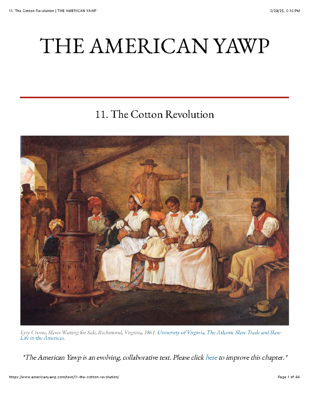 The Cotton Revolution: Economic Transformation in the Antebellum South ...