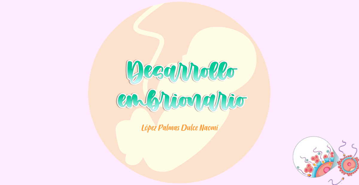 Línea de Tiempo del Desarrollo Embrionario: Semana a Semana - Document Preview