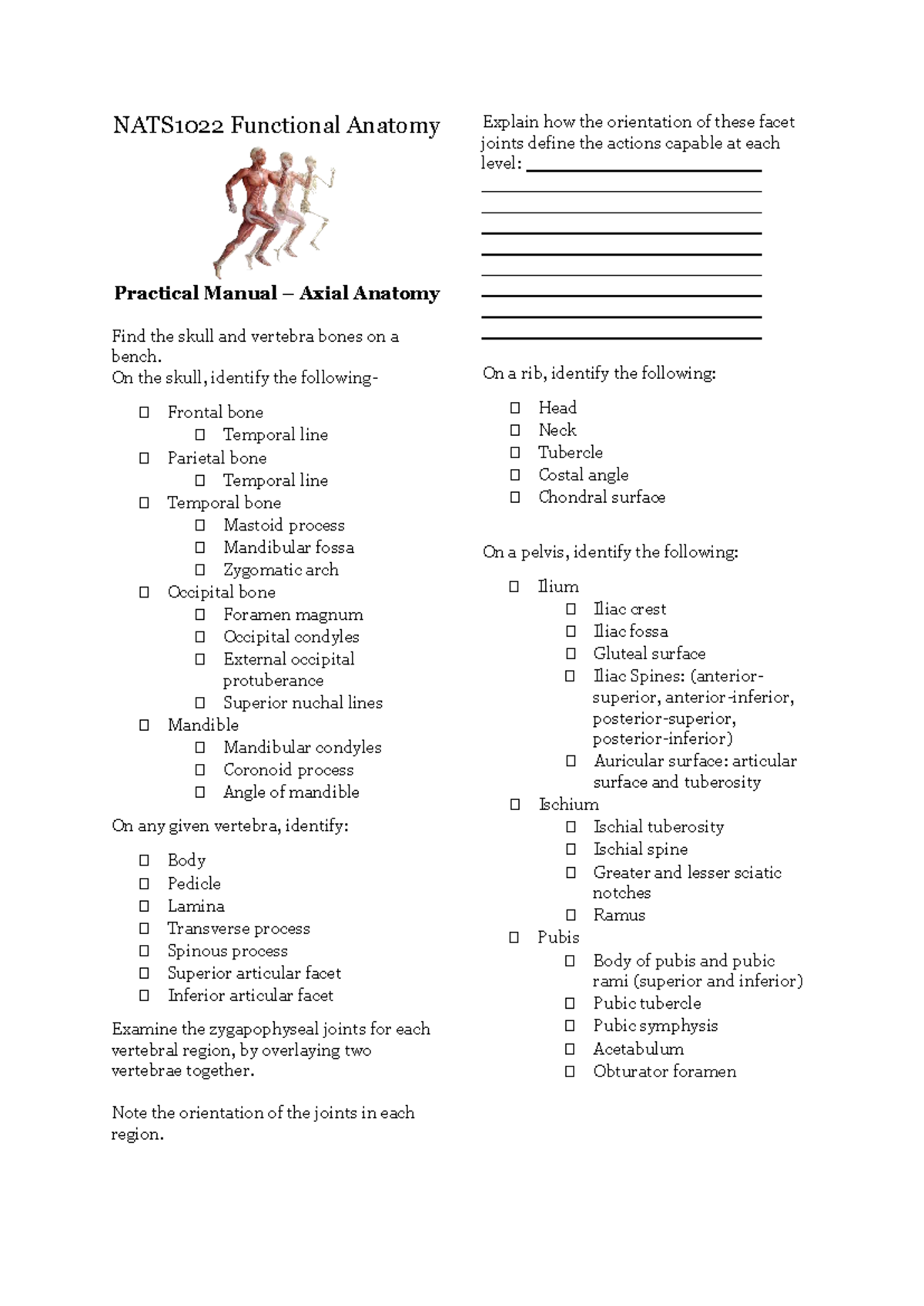 NATS1022 Functional Anatomy Practical Manual: Skull & Vertebrae ...