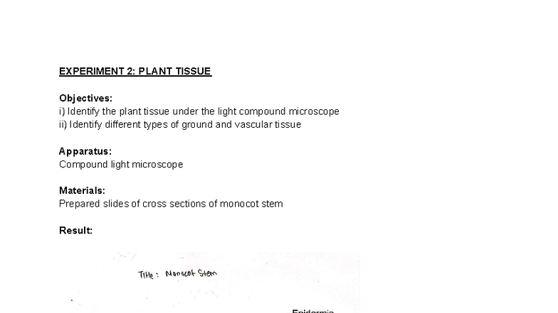 Lab Report: Experiment 2 - Plant Tissue Identification - Studocu