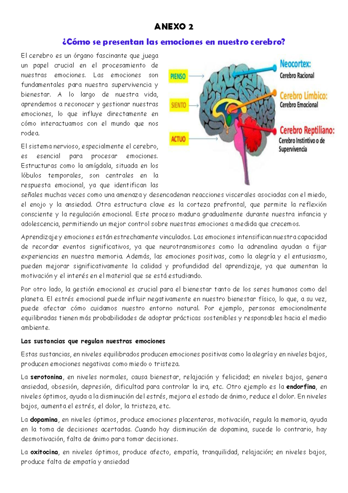 Anexo 11 - Emociones y su Procesamiento en el Cerebro - Studocu