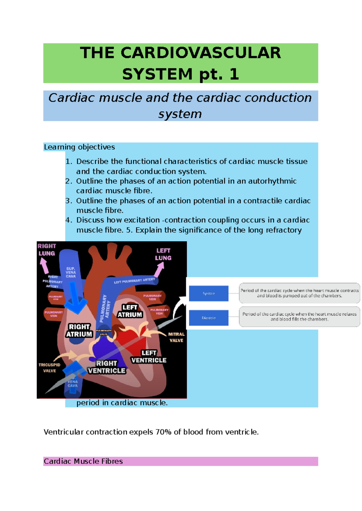 Cardiovascular System Lecture Notes - Cardiac Muscle & Conduction - Studocu