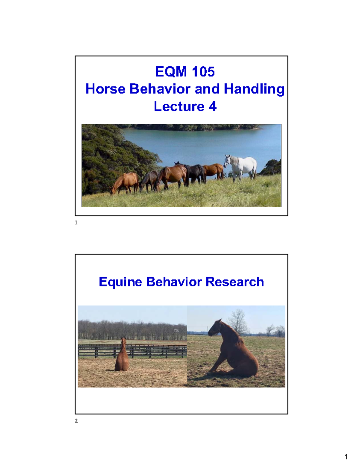 Equine Behavior Research Insights - EQM 105 Lecture 4 Notes - Studocu