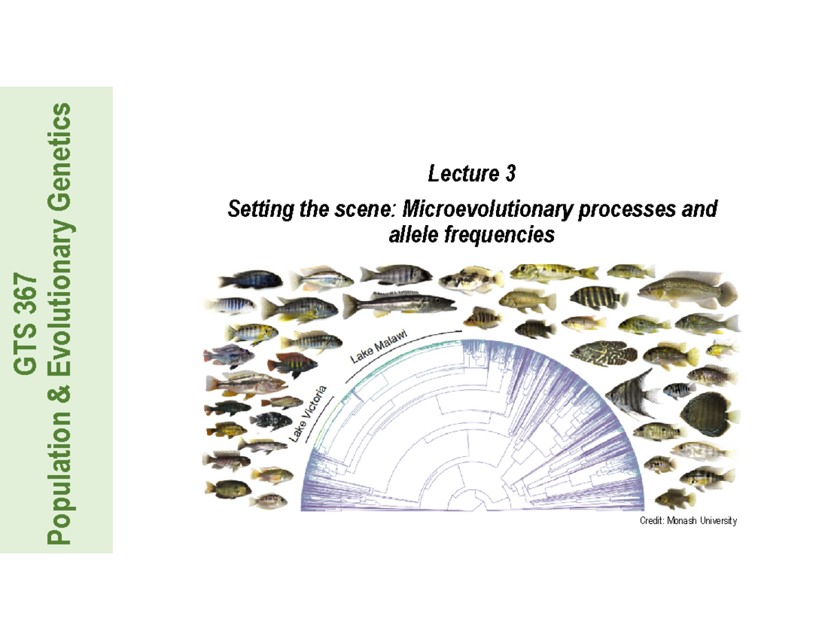 GTS 367 Lecture 3: Microevolutionary Processes & Allele Frequencies ...