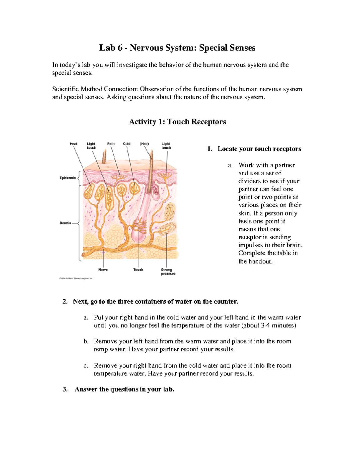 Special Senses Lab - Activities and Observations Guide (Lab 6) - Studocu