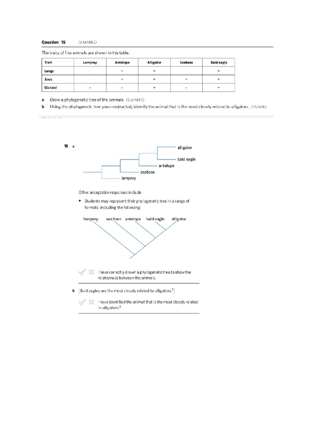 Examples of Constructing a Phylogenetic Tree - With Answers - Question ...