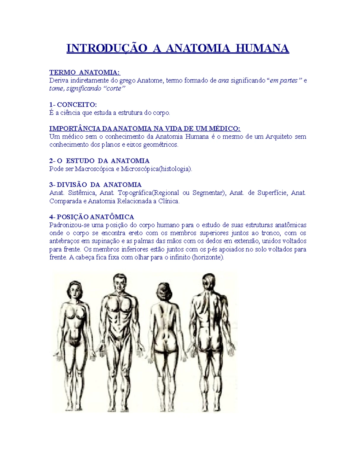 Estudo de Anatomia Humana: Terminologias e Estruturas do Corpo - Studocu