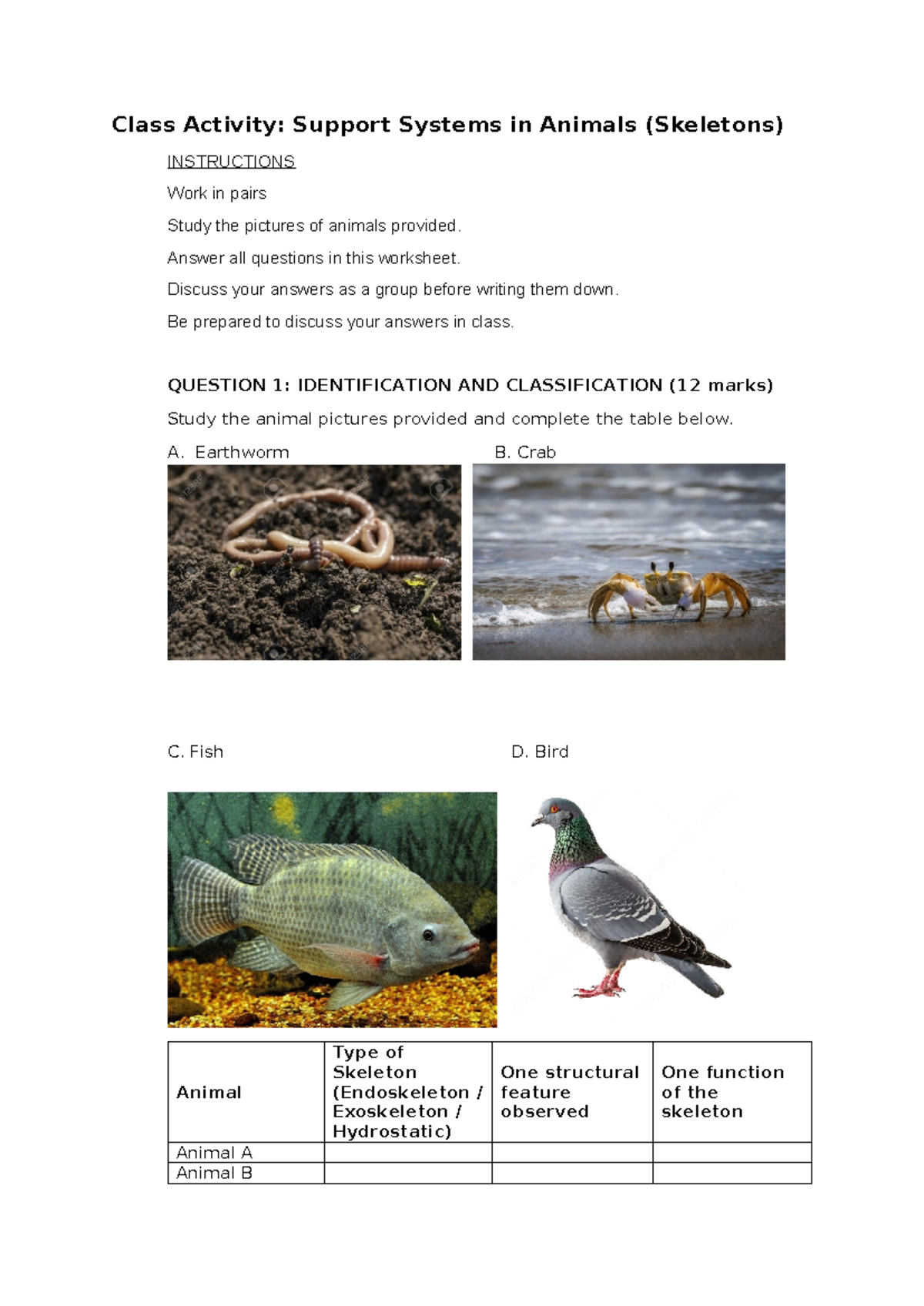 Class Activity: Support Systems in Animals (Skeletons) - Studocu