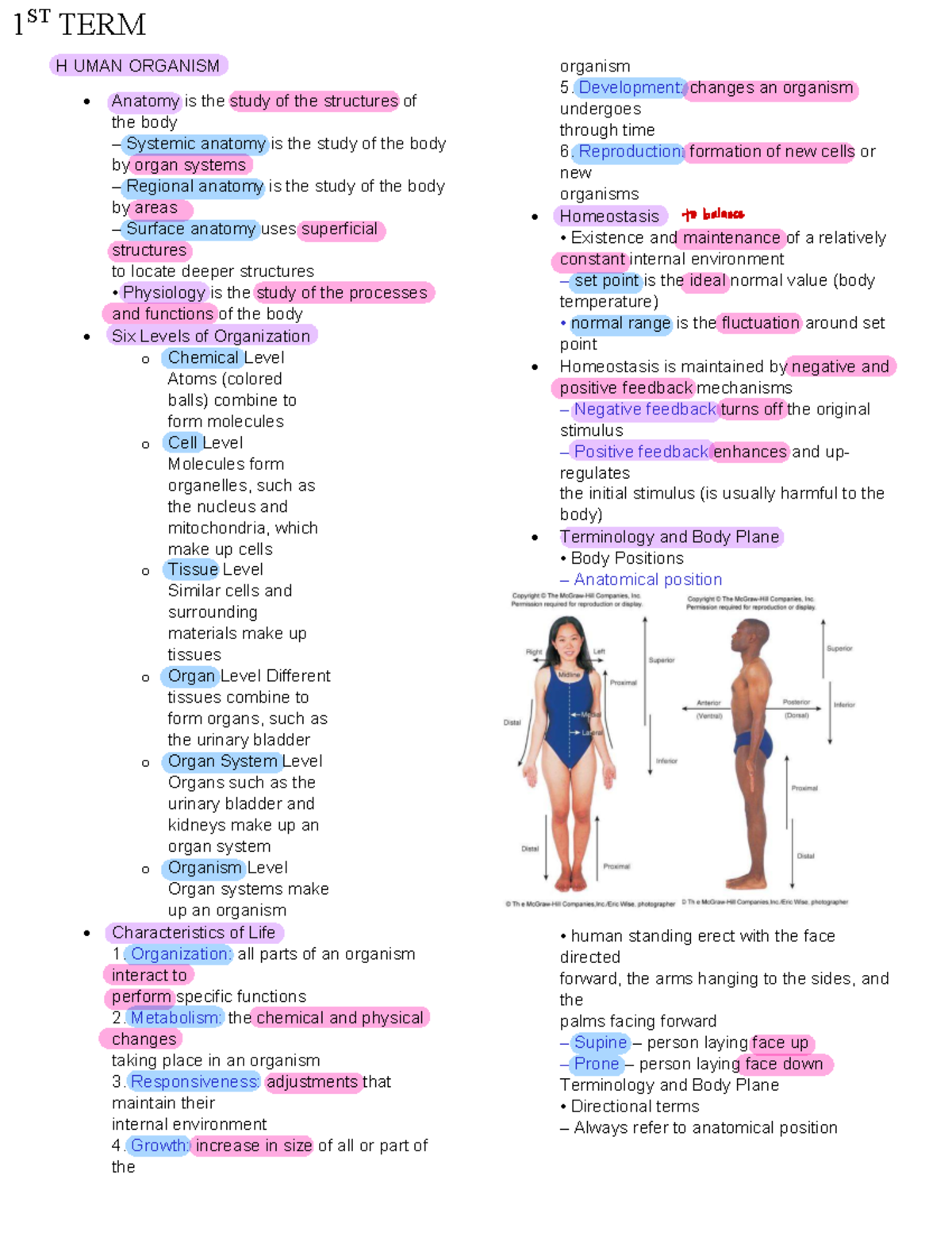 Anaphy 20: 1st Term Human Organism Anatomy Review Notes - Studocu