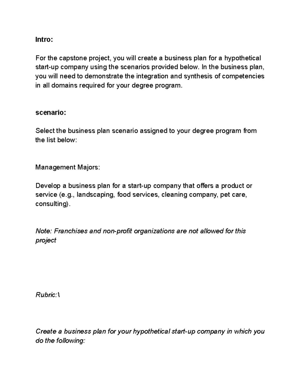 NCM2 Task 1: Business Plan Development for Capstone Project - Studocu