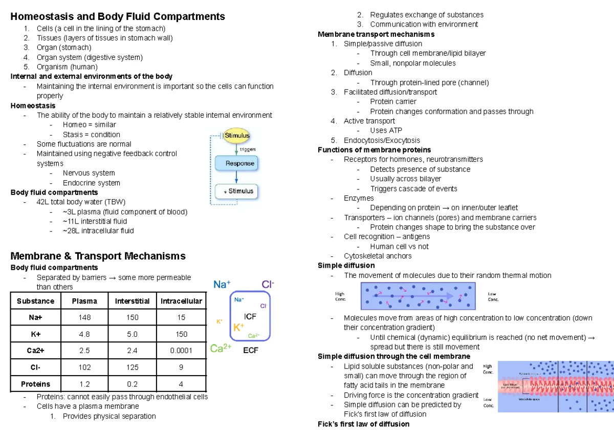 Biochem 2280: Topics 14-23 - Nucleic Acids, DNA Replication, and Repair ...