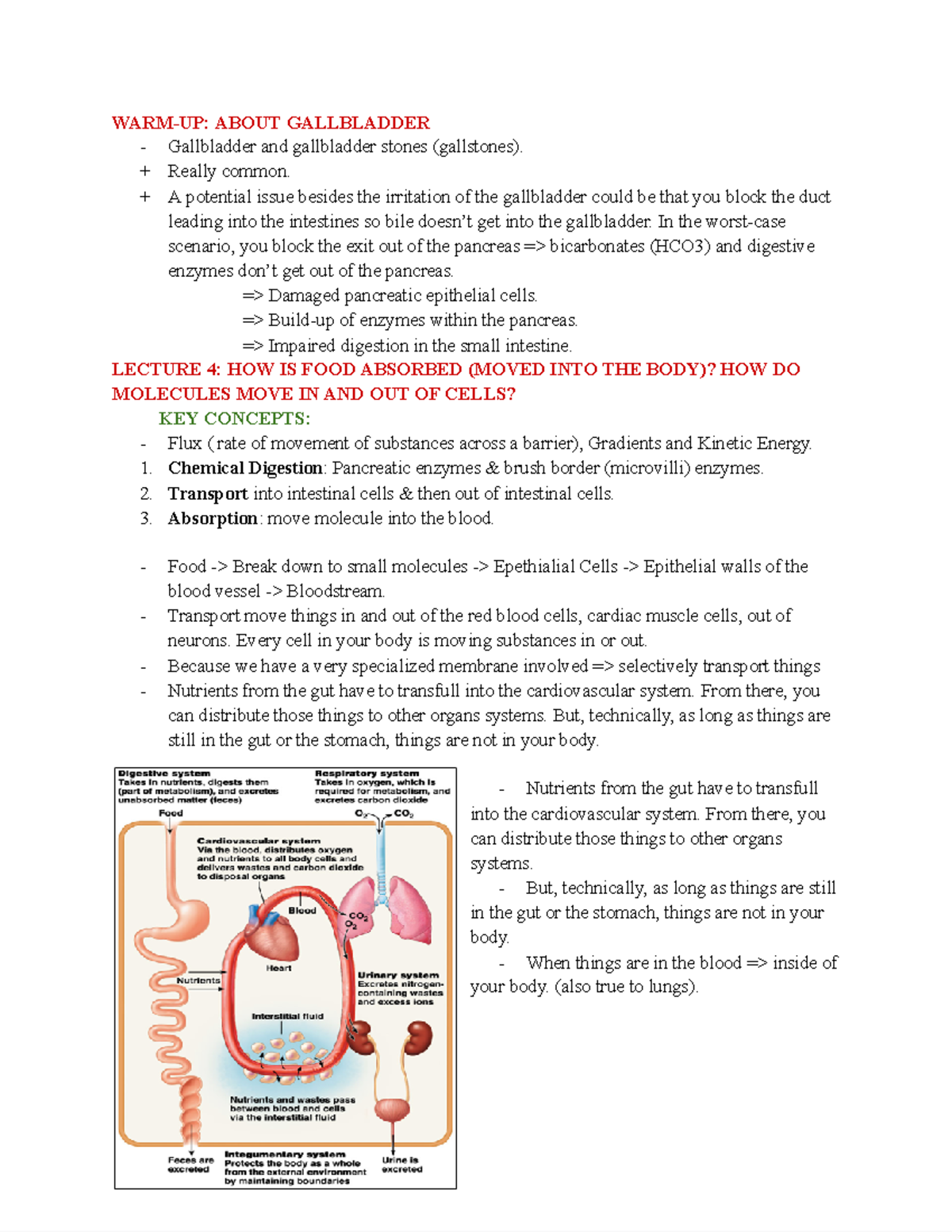 BIOL 118 FINAL EXAM Notes: Gallbladder Function & Nutrient Absorption ...