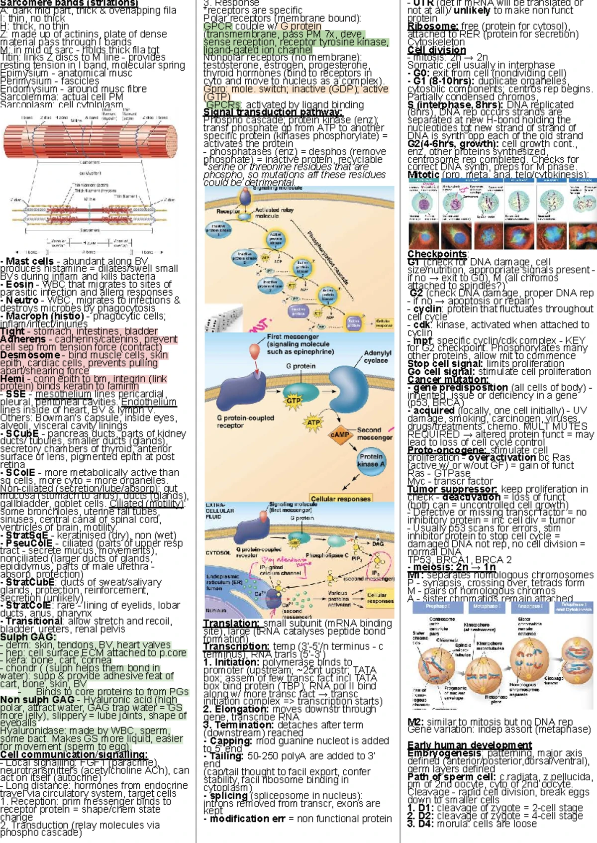 Biosci 101 Final Exam Summary: Membrane Structure & CFTR Defects - Studocu