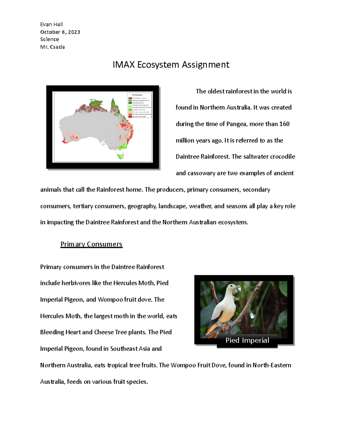 the Daintree Rainforest - October 6, 2023 Science Mr. Csada IMAX ...