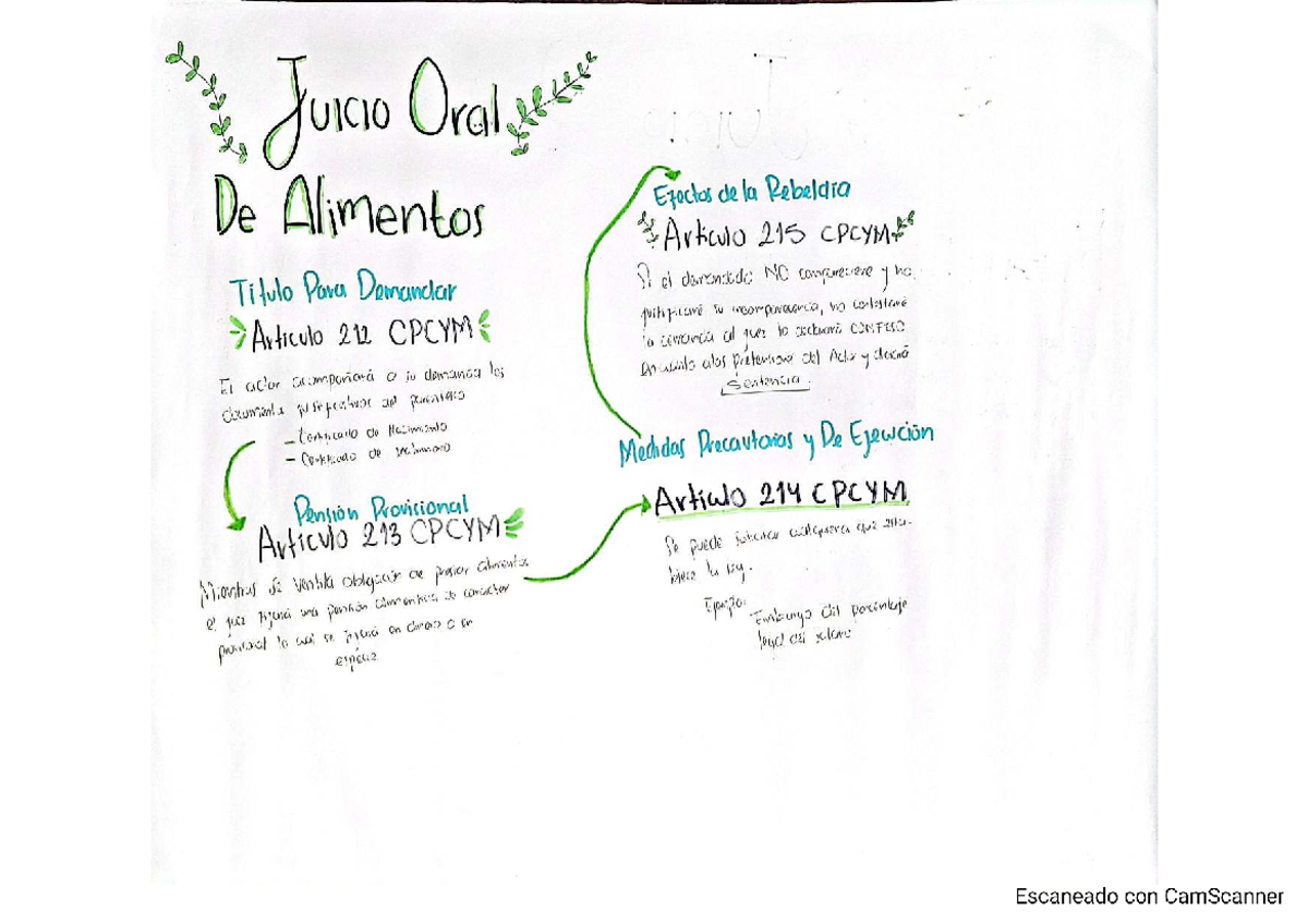 Memorial De Juicio Oral De Alimentos En Guatemala www.studocu.com