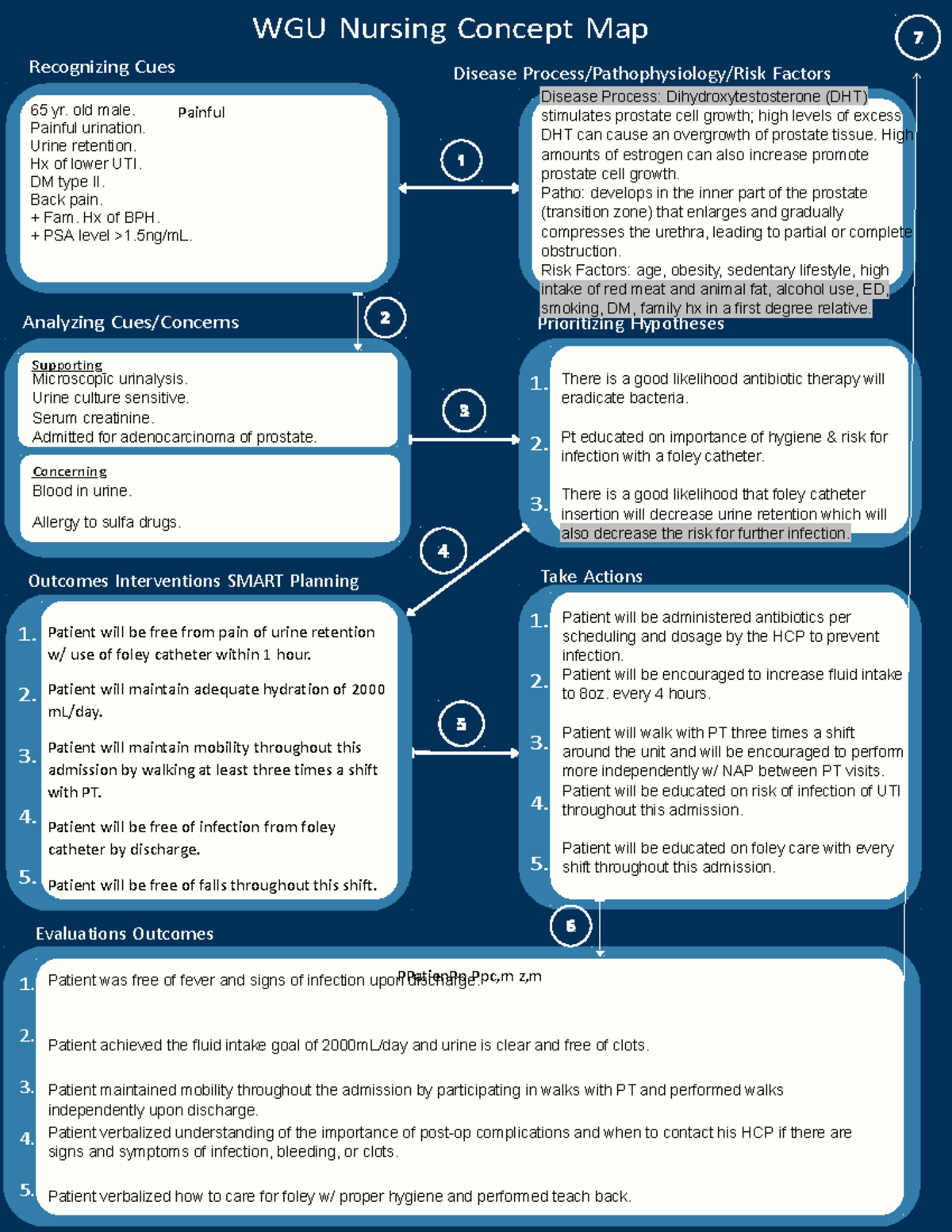 WGU Nursing Concept Map Template: Patient Care for Prostate ...