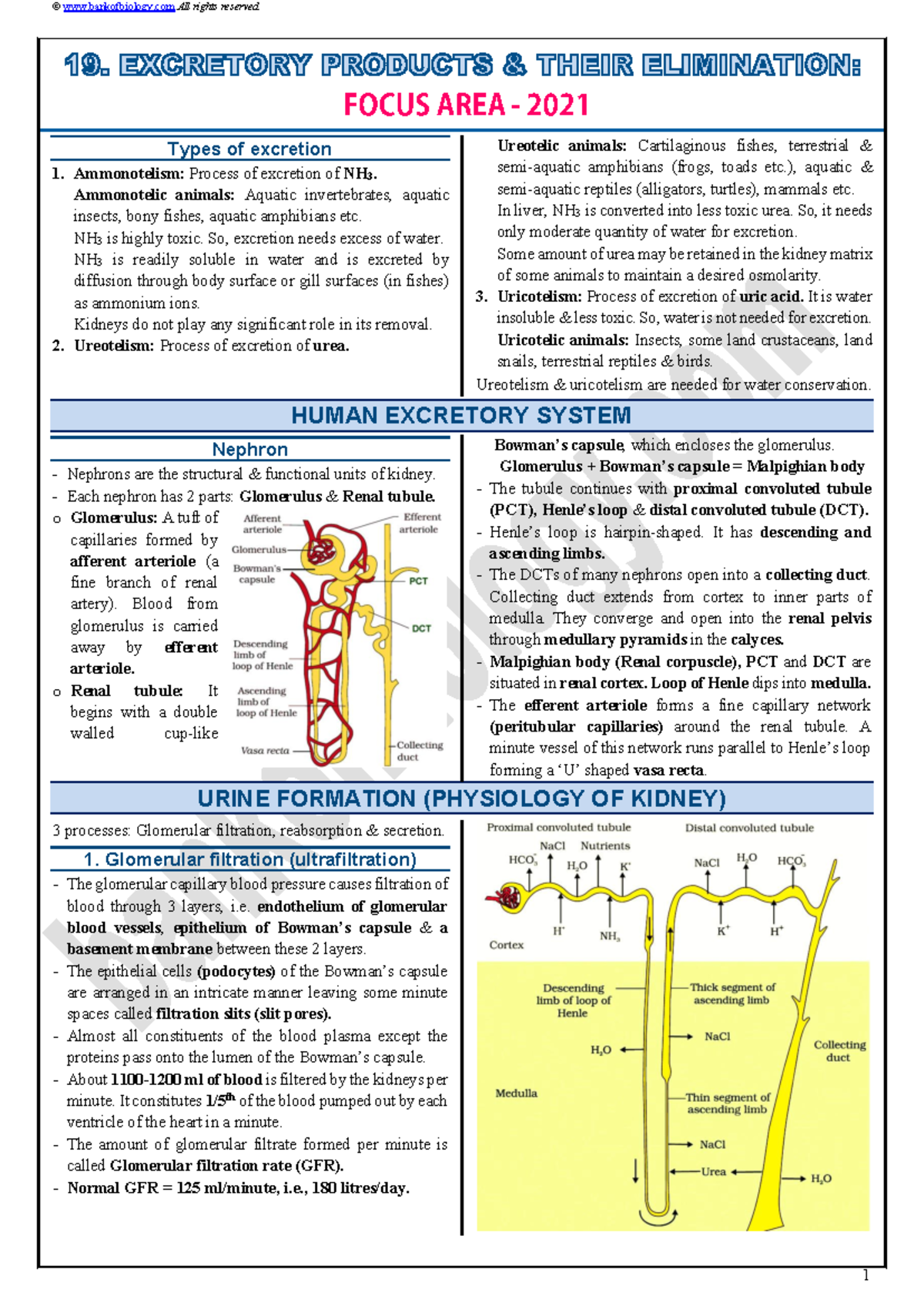 Kingdom Monera: Overview of Prokaryotic Bacteria and Their Characteristics  - Studocu