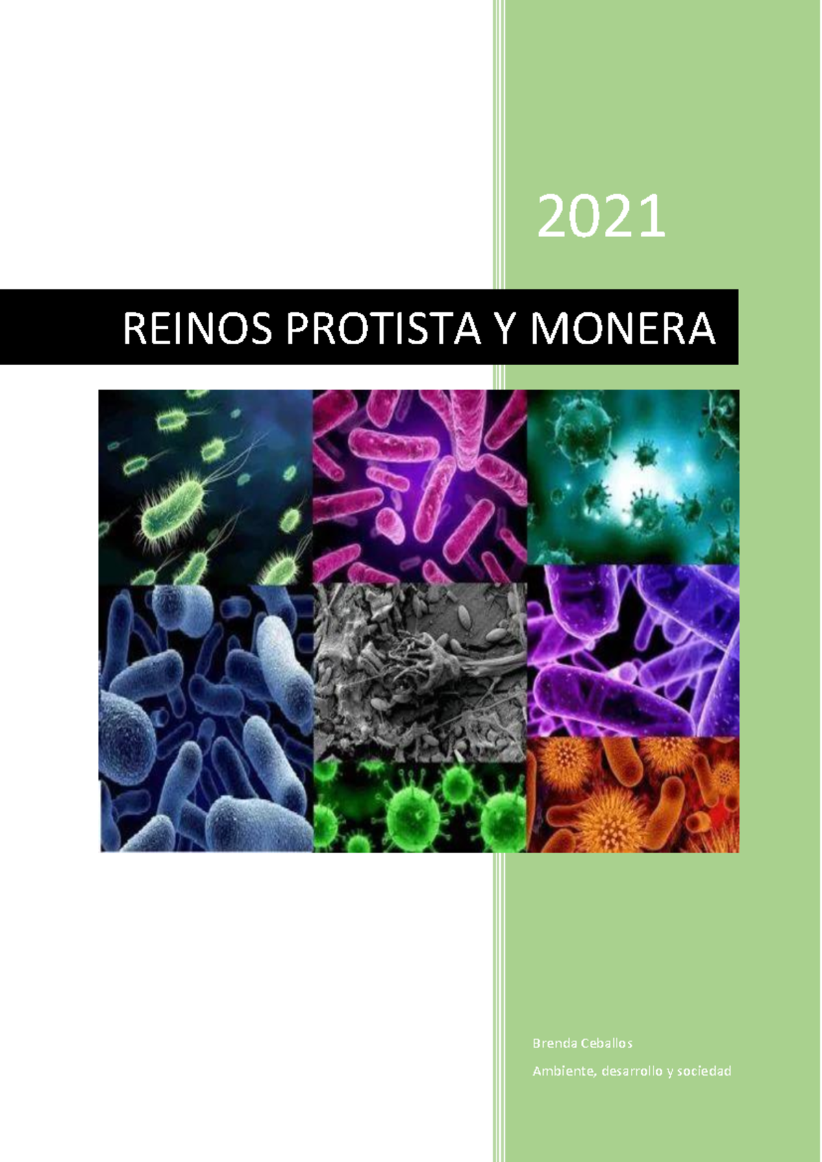 Reinos Monera y Protista: Características y Clasificación Esencial - Studocu