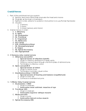 Nervous System Structure: Spinal Cord and Peripheral Nerves Overview ...