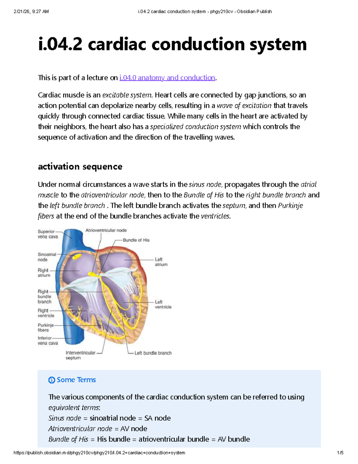 I.04.2 Cardiac Conduction System Lecture Notes - PHGY210CV - Studocu