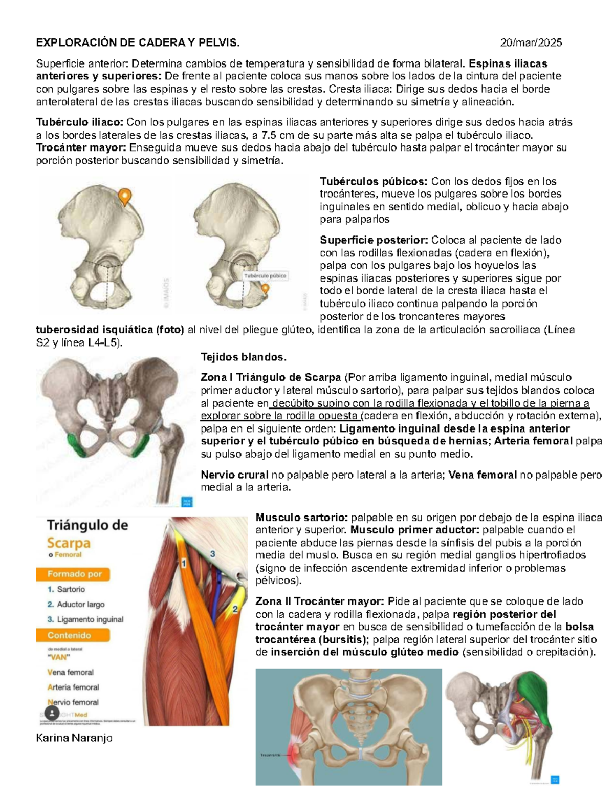 Irm: Exploración De La Pelvis | Examen pélvico: qué es y cuándo y por ...
