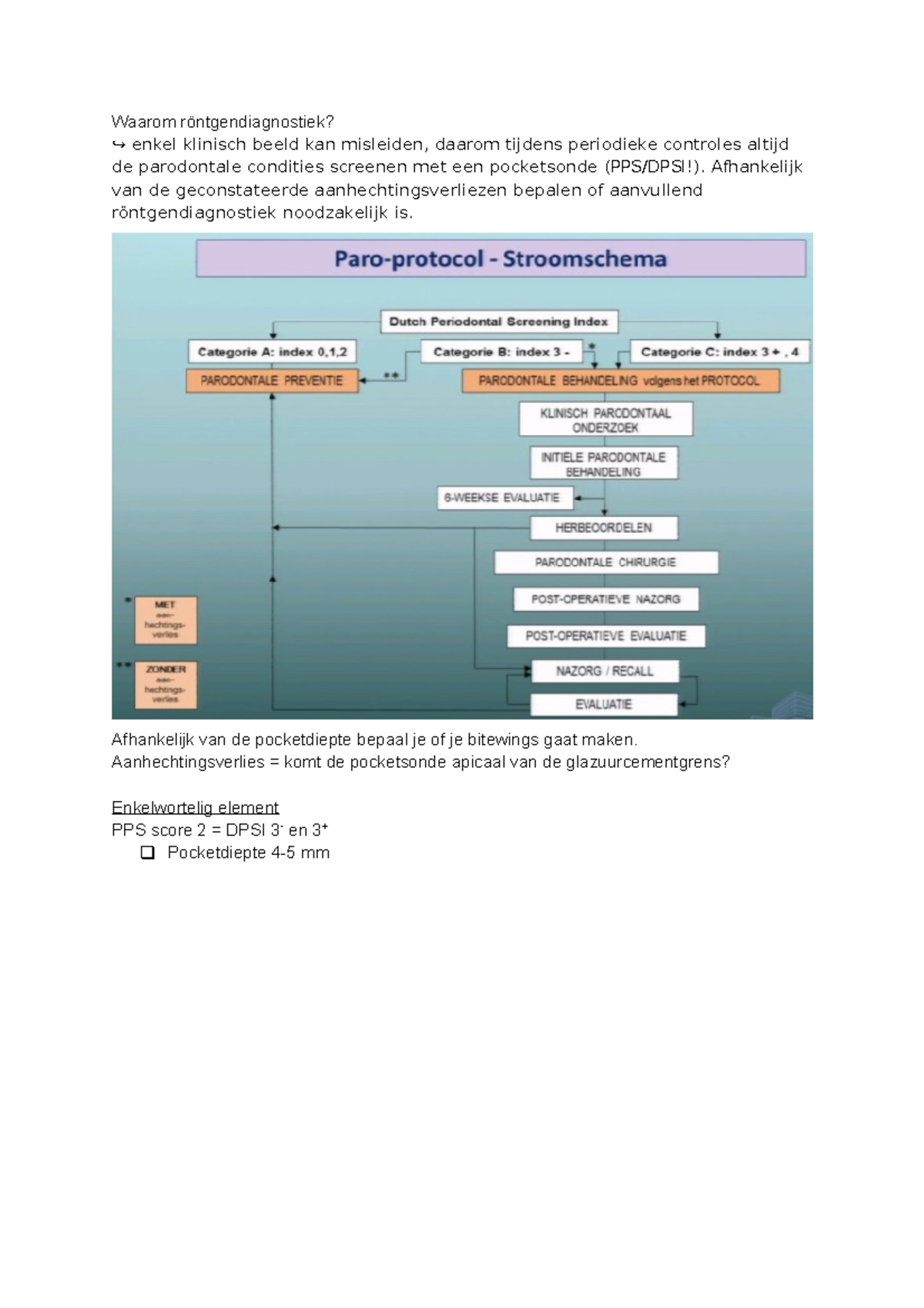 Röntgendiagnostiek in Paro-protocol: Essentieel voor Diagnostiek en ...