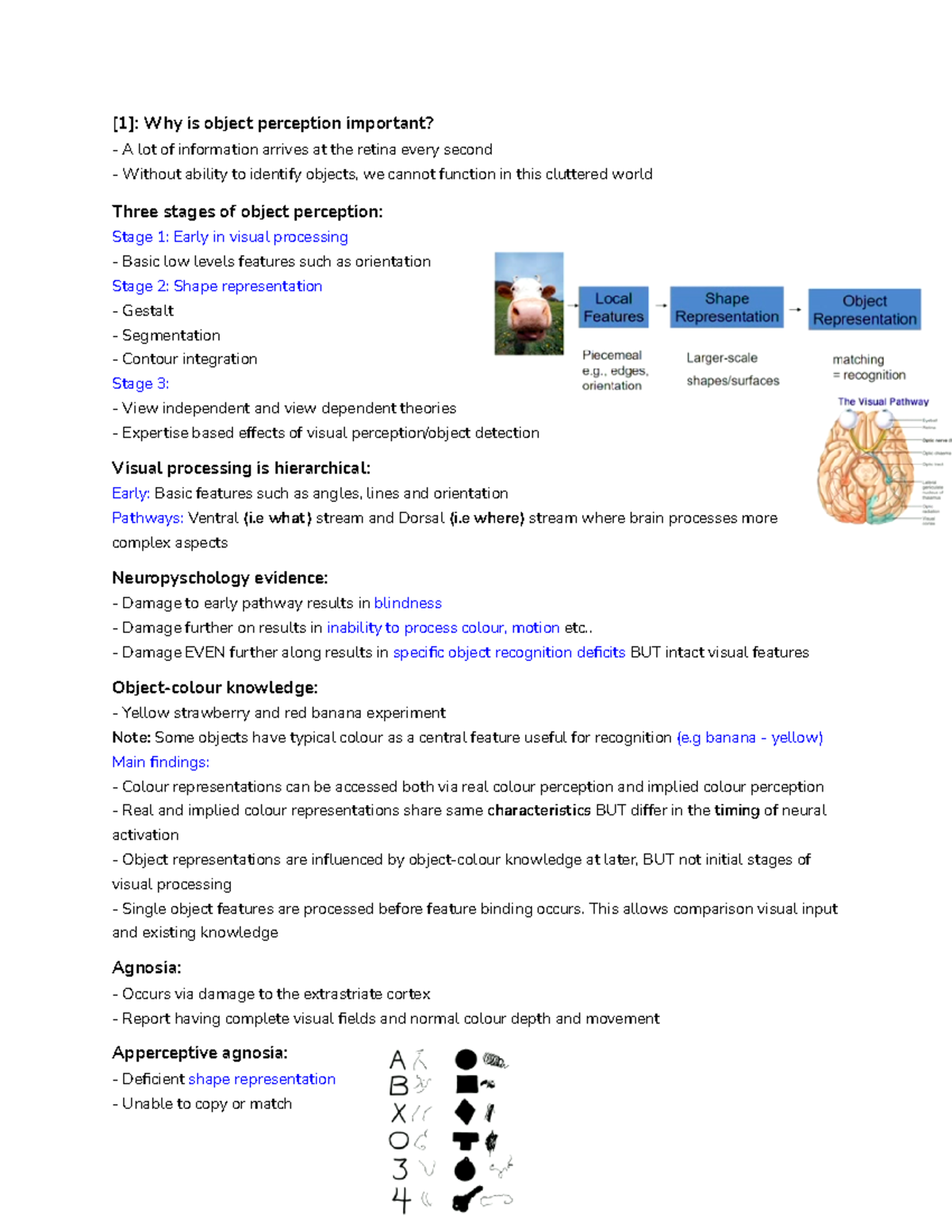 Week 12 Shape and Object perception & Multisensory Integration - [1 ...