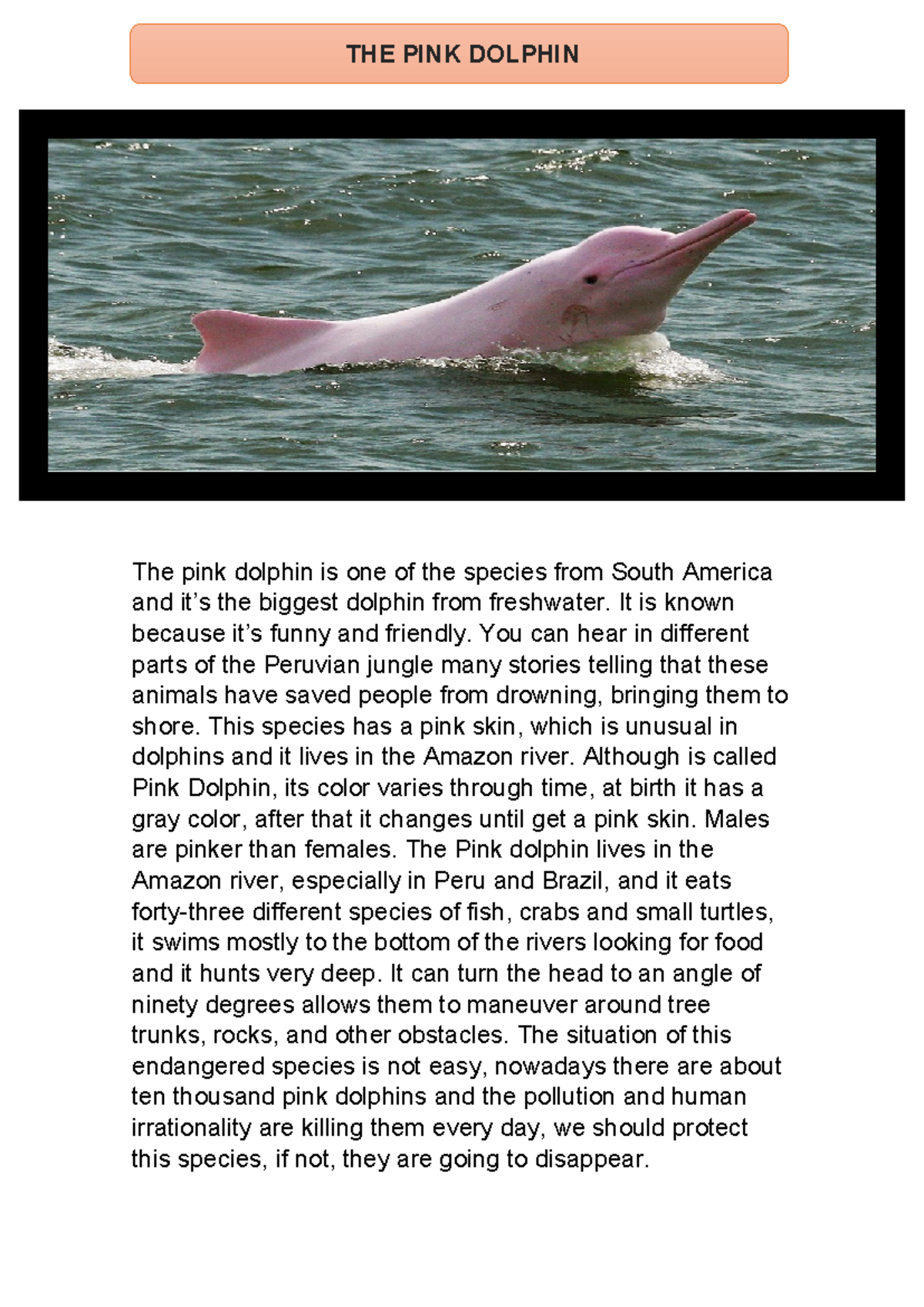EL Delfín Rosado: Especie En Peligro en la Amazonía - Inglés - Studocu