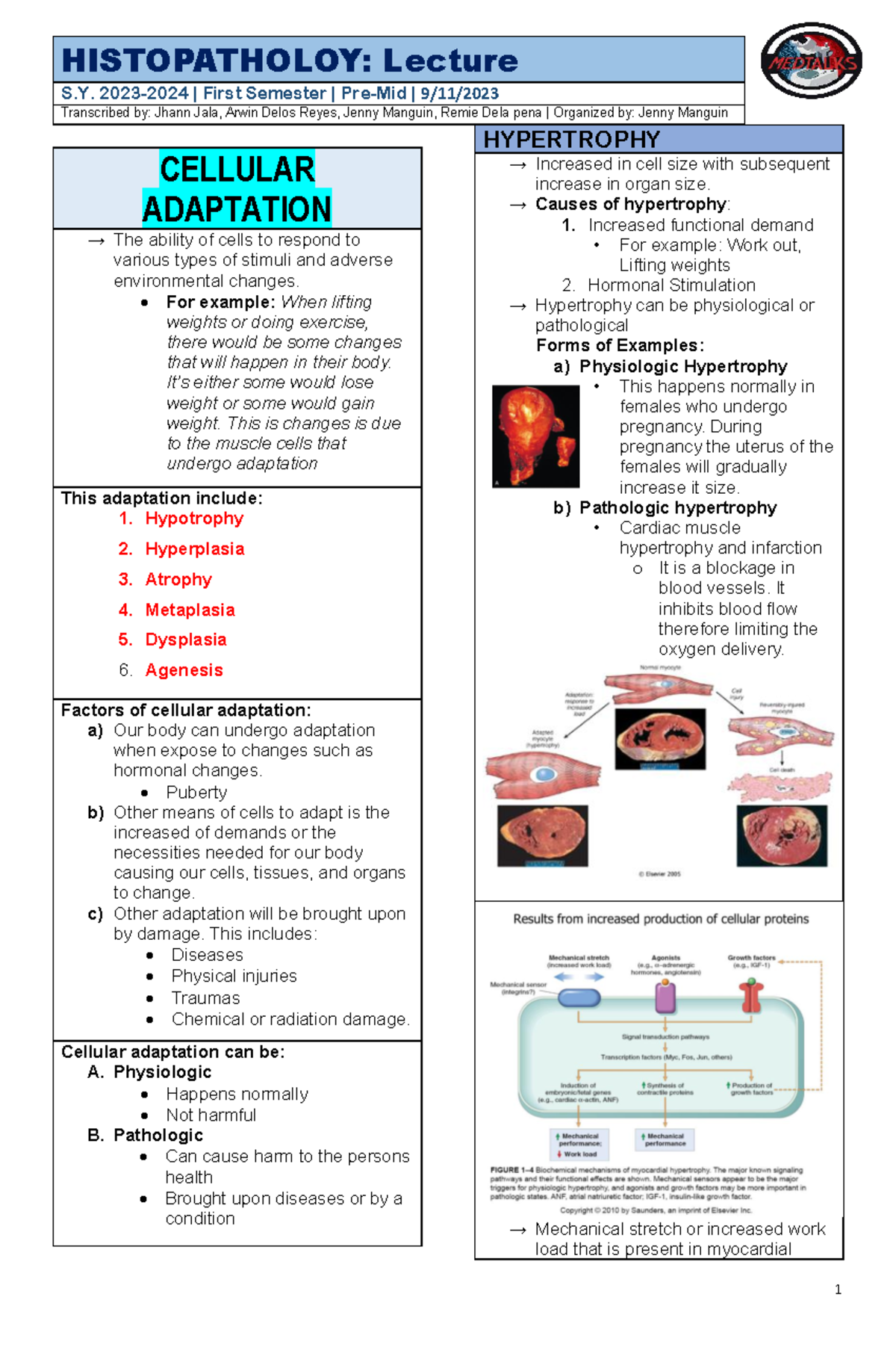 HISTOPATHOLOGY: Lecture on Cellular Adaptation - S.Y. First Sem - Studocu