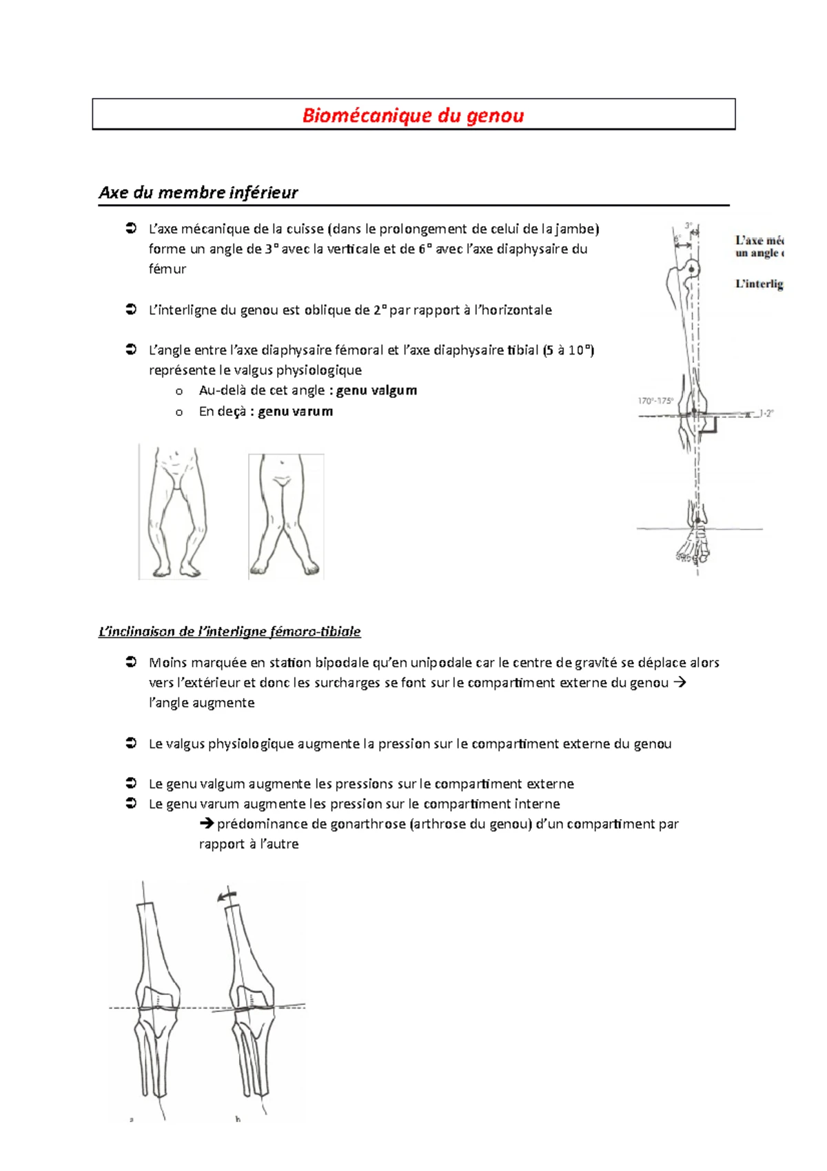Biomécanique du genou - Biomécanique du genou Axe du membre inférieur L ...