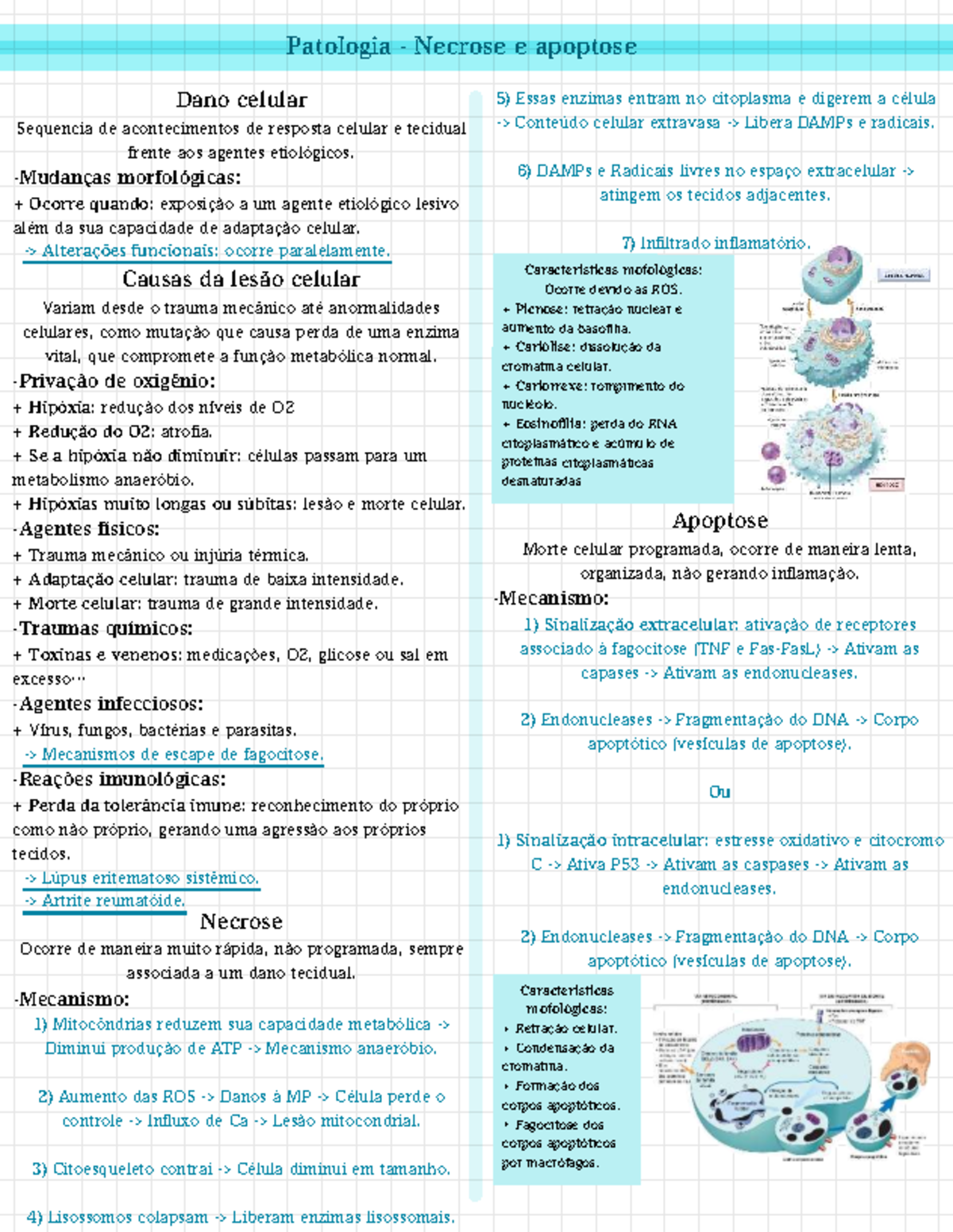 Patologia: Necrose e Apoptose - Dano Celular e Resposta Tecidual - Studocu