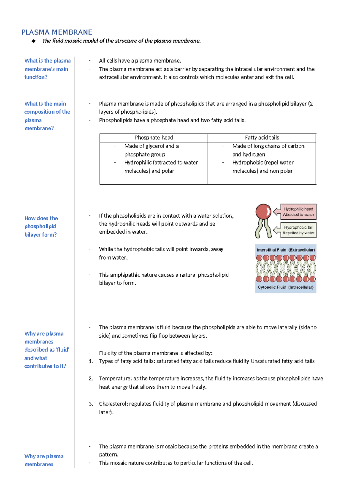 VCE Biology Final Exam Notes: Plasma Membrane Structure & Function ...