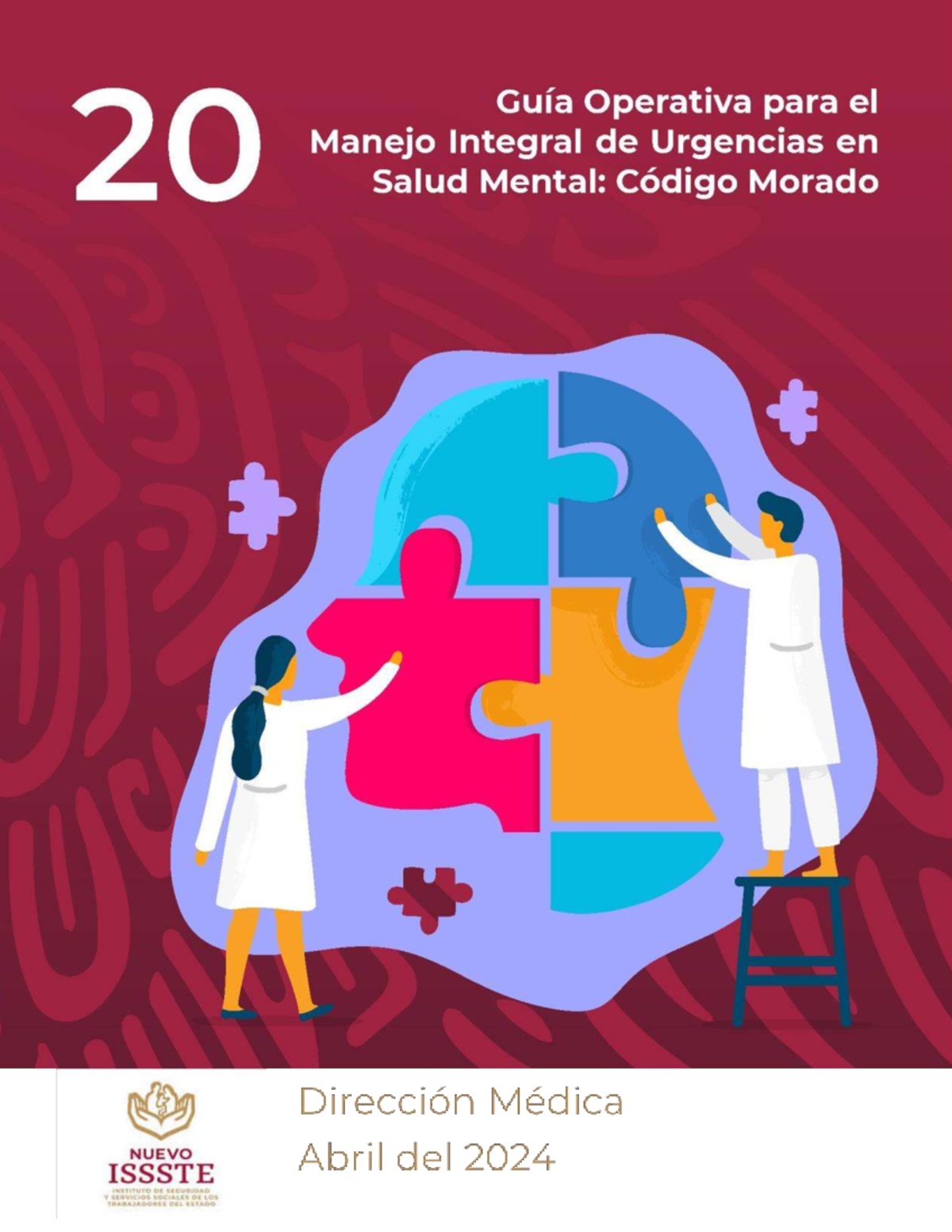 Guía Operativa para el Manejo de Urgencias en Salud Mental: Código ...