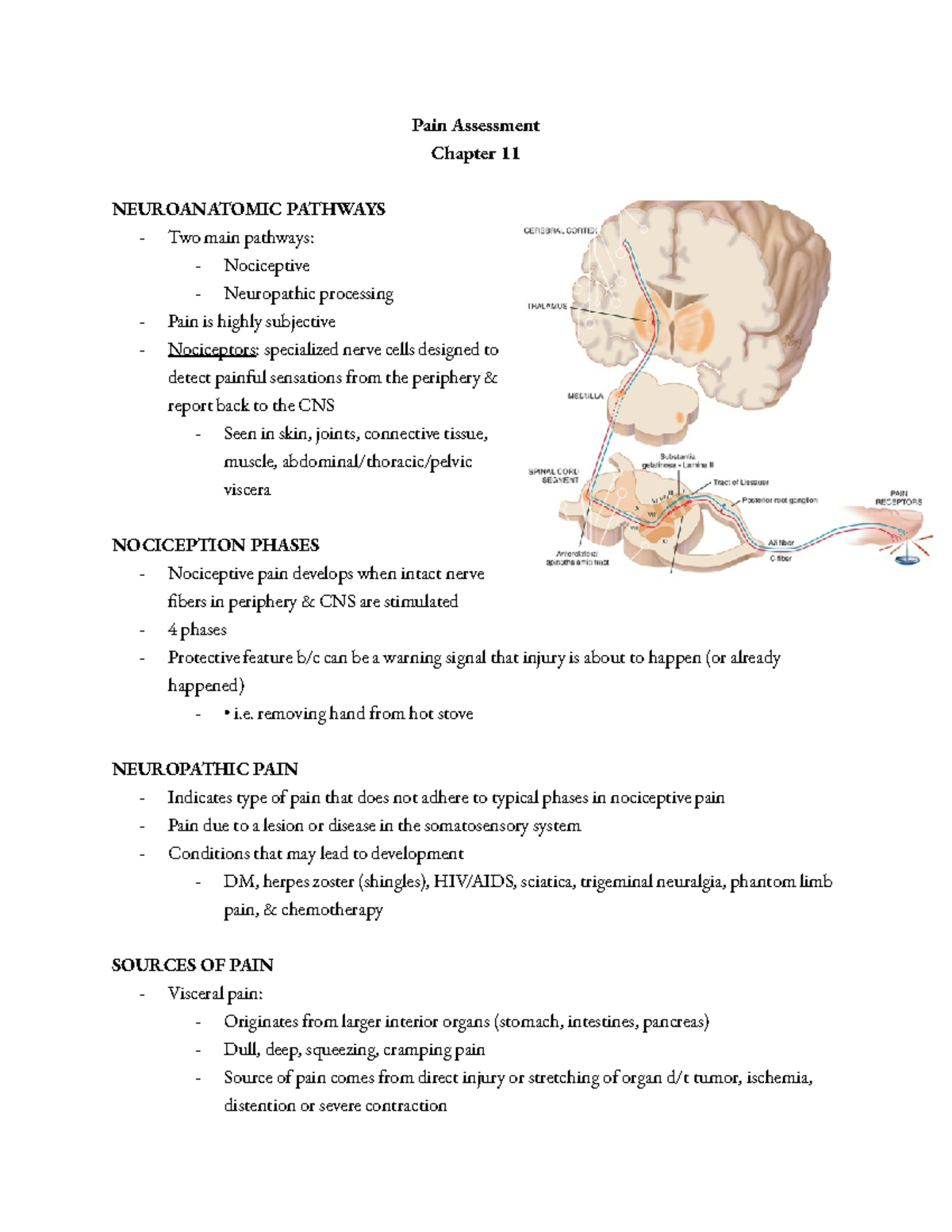 Ch 11 Pain Assessment - Jarvis Textbook Study Notes - Studocu