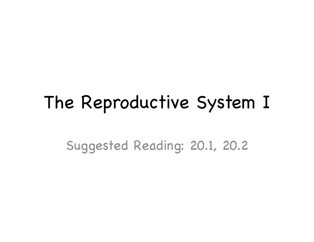 Reproductive System Overview - NPB 101 Final Exam Study Notes - Studocu