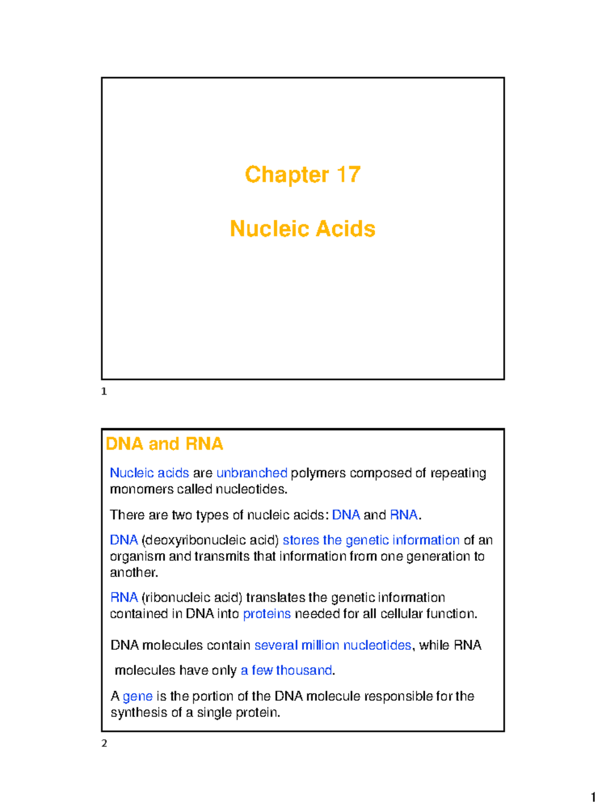 Chapter 17: Nucleic Acids - DNA and RNA Overview - Studocu
