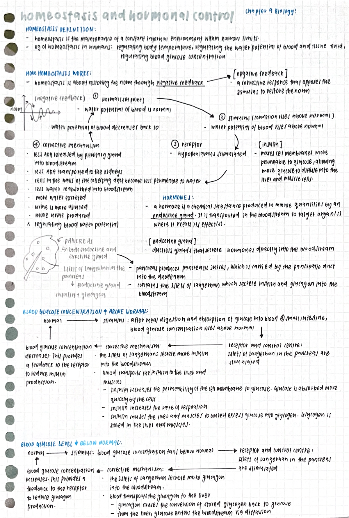 Biology 101: Homeostasis & Hormonal Control Notes (Ch 9) - Studocu