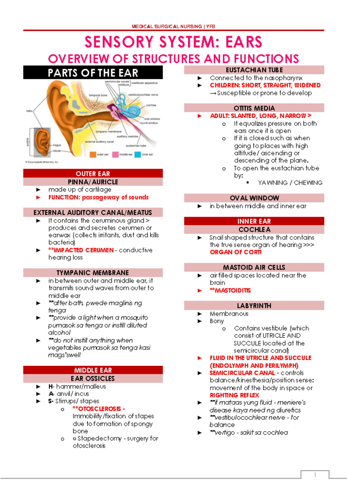 MS EARS - Sensory System and Disorders Notes - Studocu