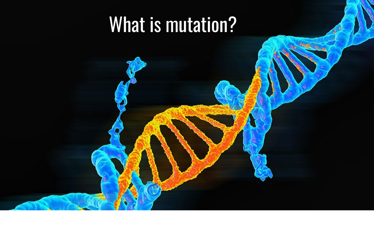 Mutation: Understanding Genetic Changes and Their Impacts - Studocu