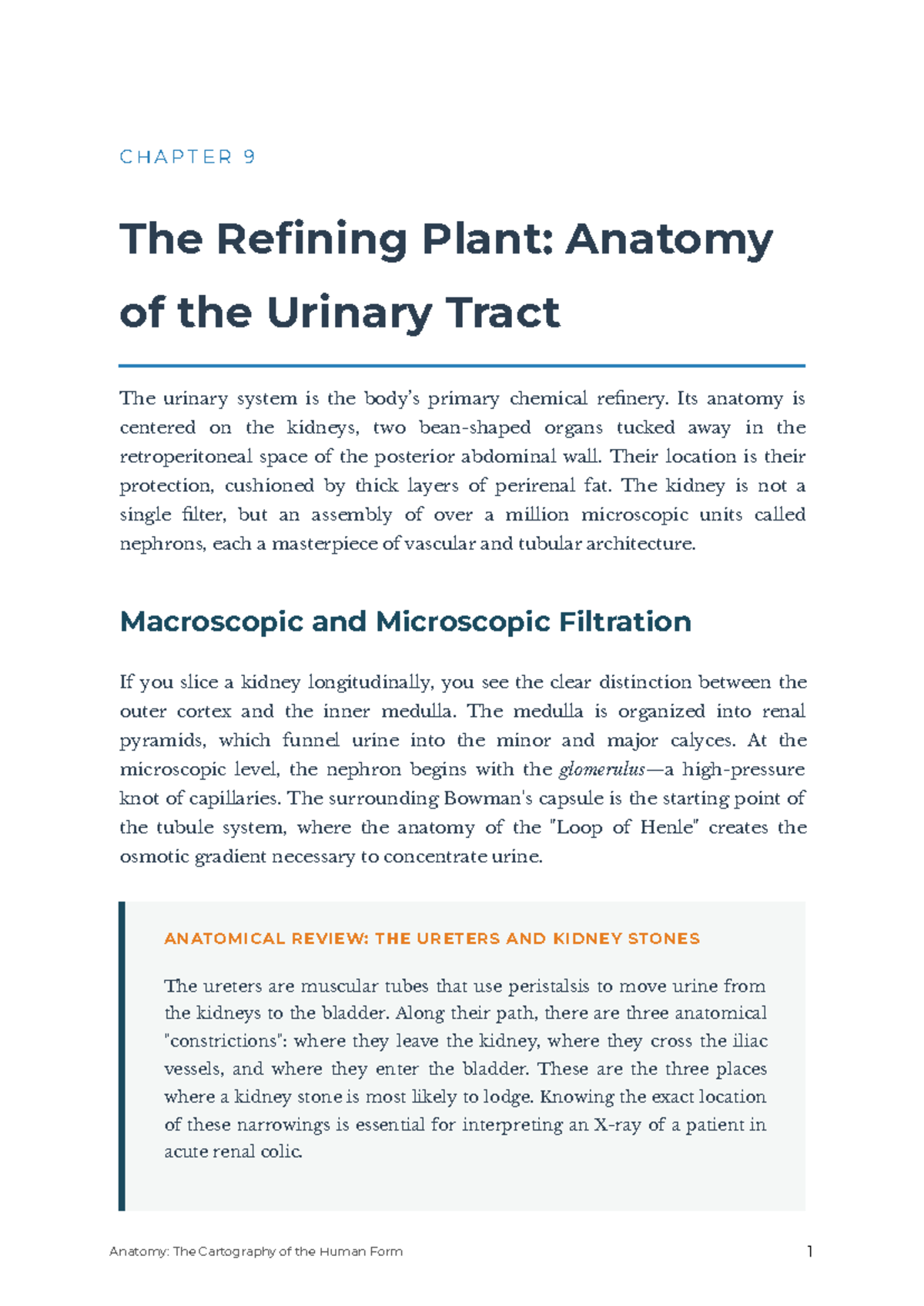 CHAPTER 9: Anatomy of the Urinary Tract and Kidney Function - Studocu